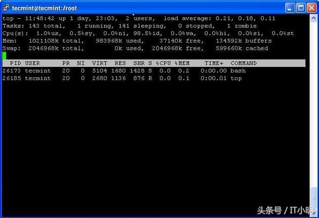 Linux中的12个TOP命令示例