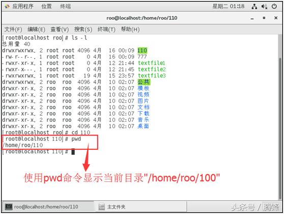 Linux 文件与目录管理常用命令