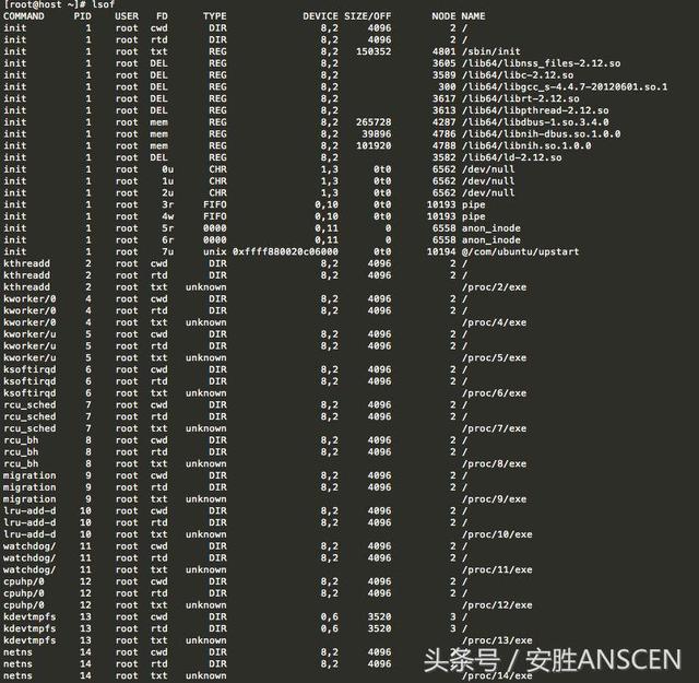 Linux系统诊断神器：lsof用法学起来！