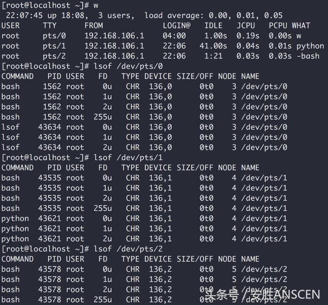 Linux系统诊断神器：lsof用法学起来！