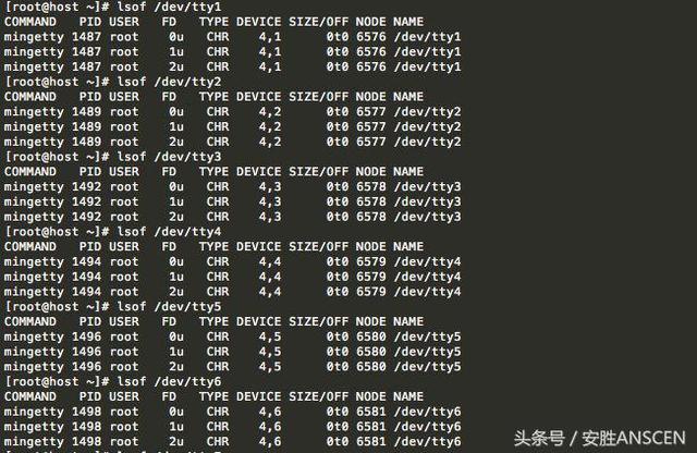 Linux系统诊断神器：lsof用法学起来！