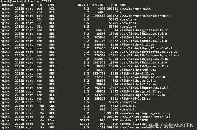 Linux系统诊断神器：lsof用法学起来！