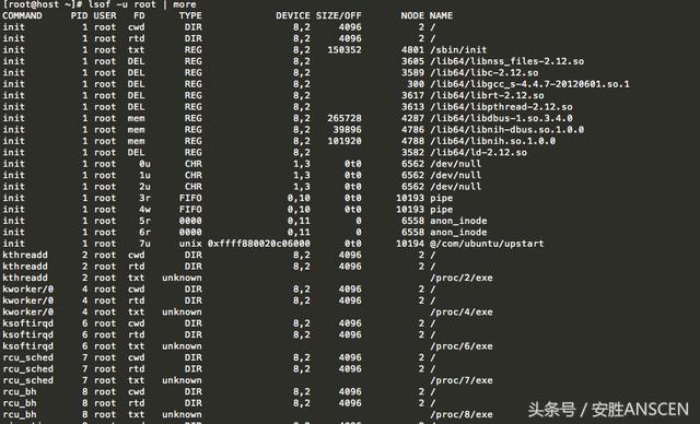 Linux系统诊断神器：lsof用法学起来！