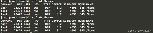 Linux系统诊断神器：lsof用法学起来！