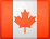 加拿大网上报税